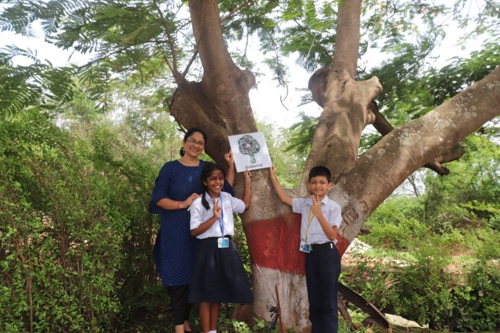 Ram Ratna International School Tree Plantation, QR Coding